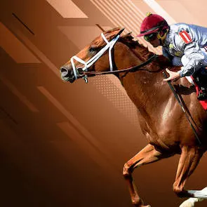 Wage Casino Racebook
